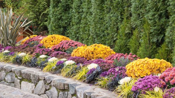 Decorative Border Replacement